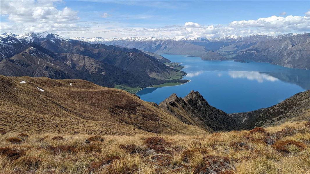 View from Isthmus Peak Track. 