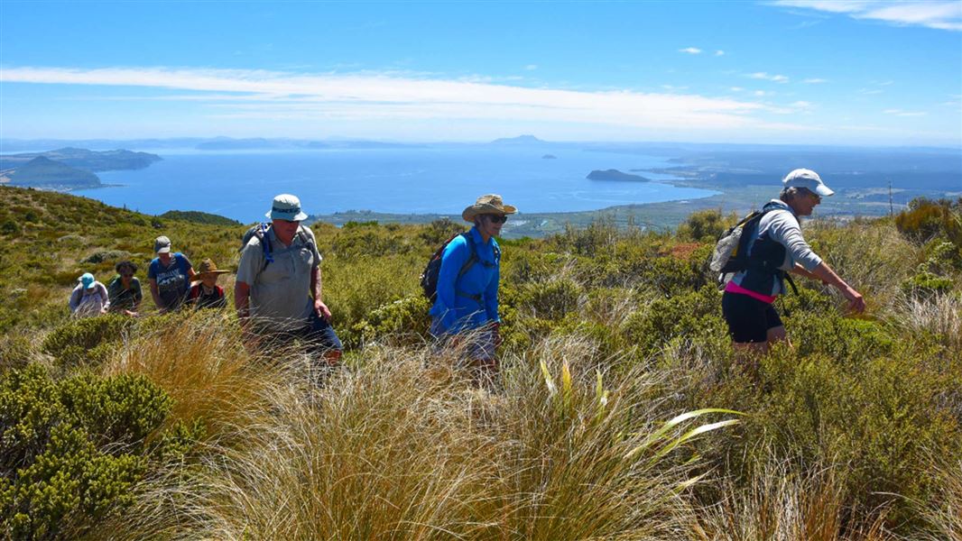 Views from Mount Tihia at Mahi Aroha 2022. 