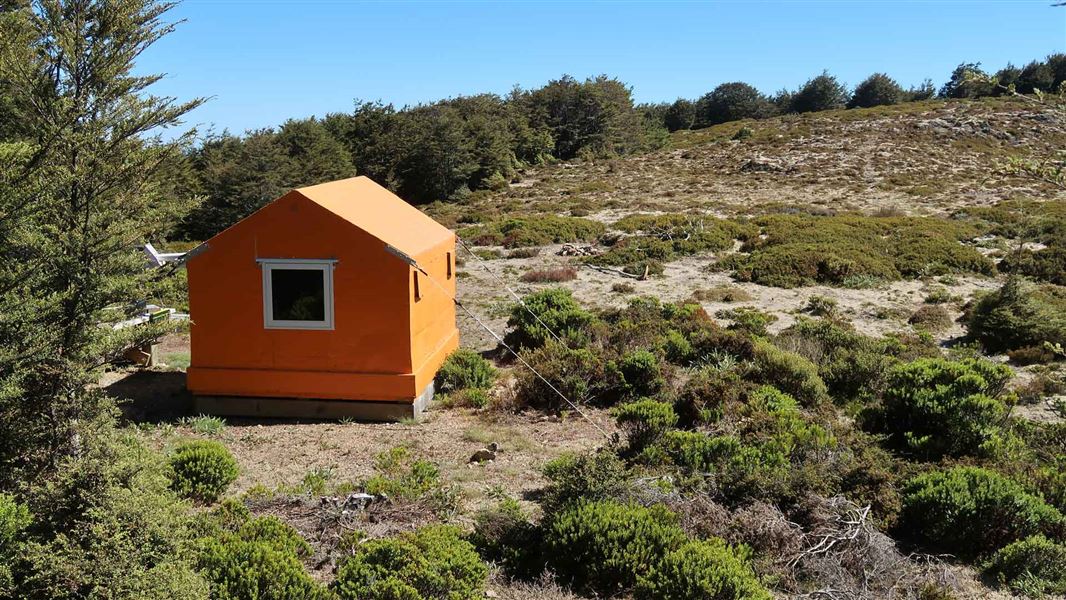 Orange bivvy hut in clearing. 