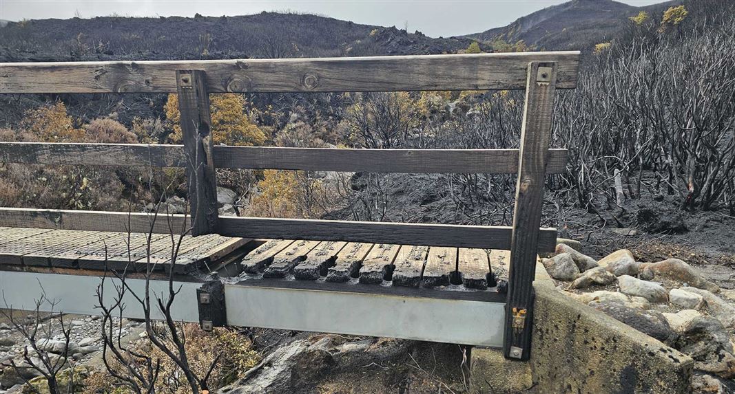 Structure on an affected track with fire damage. 