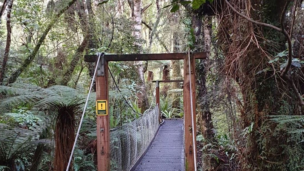 Footbridge in forest area.