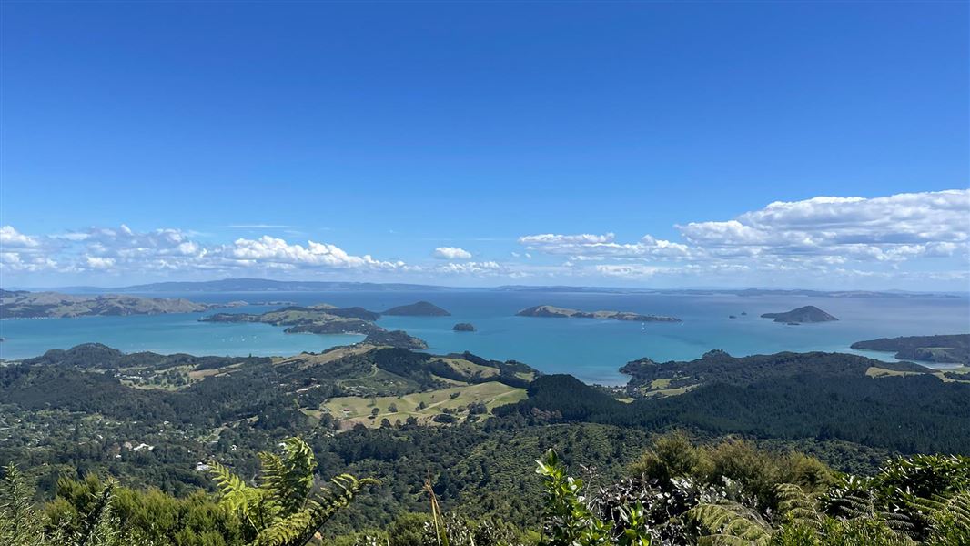 Kaipawa Trig Track view.  