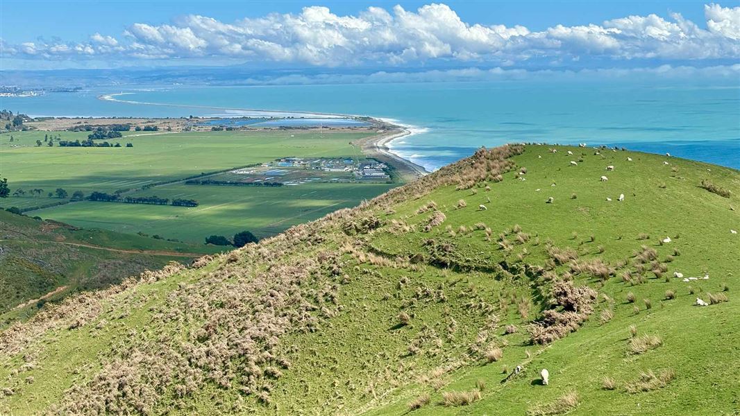 View from Cable Bay Walkway's Glenduan Loop.  