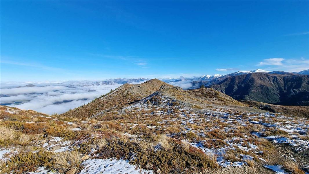 Mt Isobel track from Jacks Pass. 