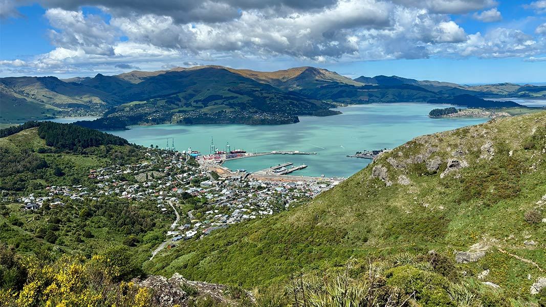 View at the top of Major Hornbrook Track. 