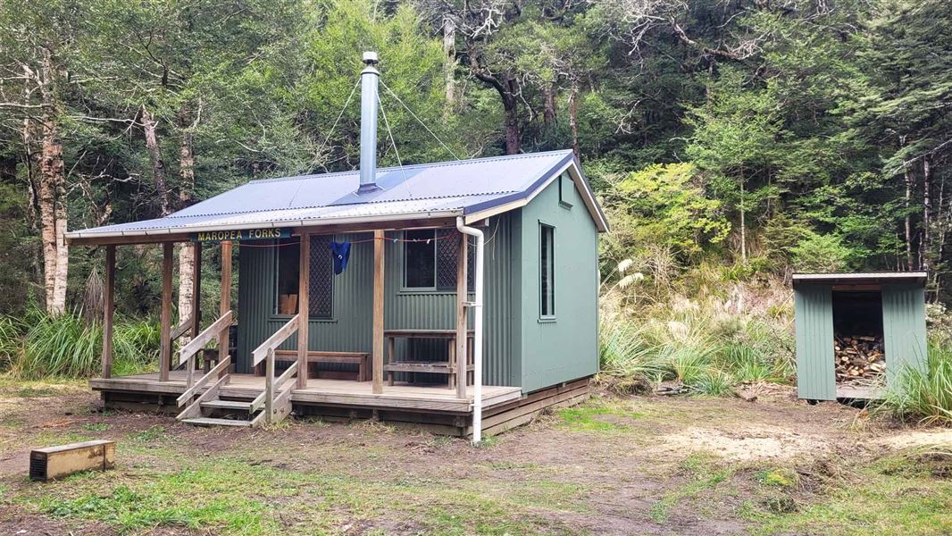 Small green hut with a balcony  surrounded by bush.