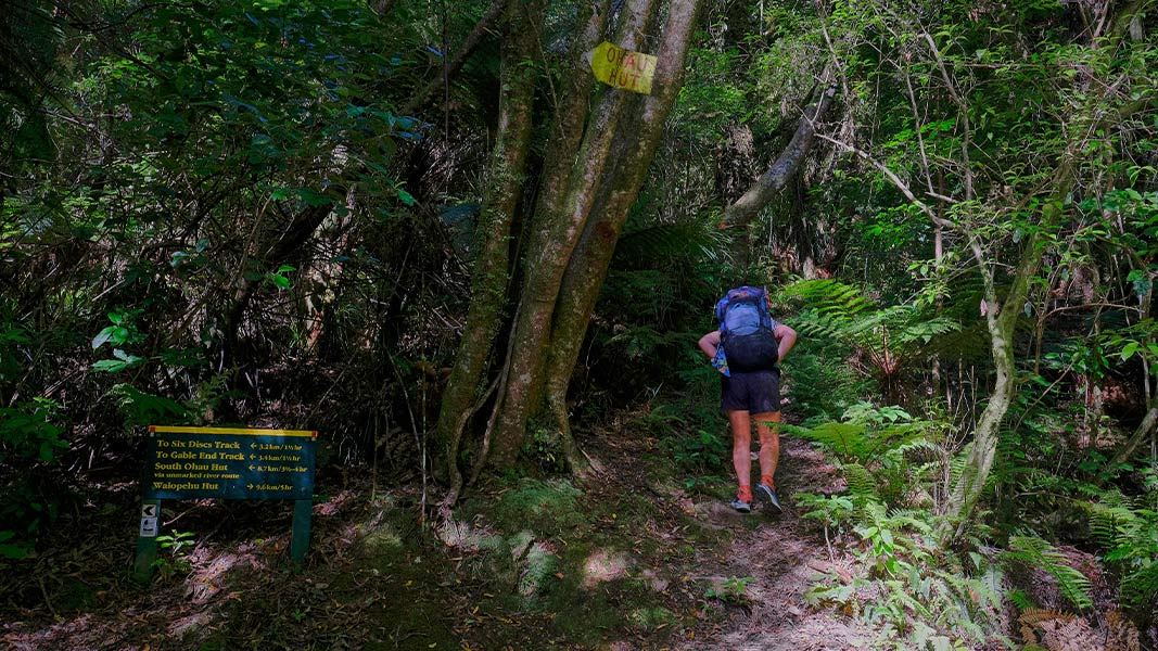 Junction of Waiopehu Track and Ohau Valley Track