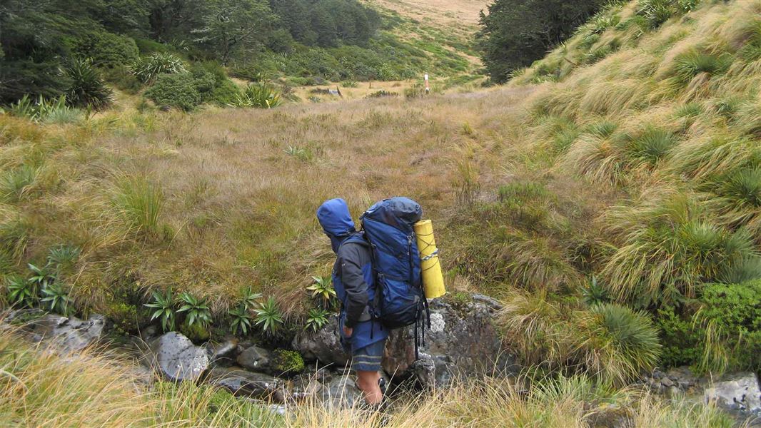 Devilskin Saddle Route, looking up to Devilskin Saddle in the background.