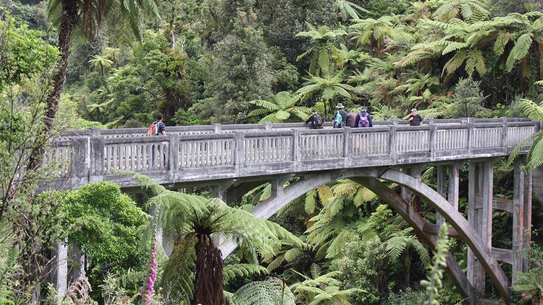 The Bridge to Nowhere in Whanganui National Park is a popular visitor destination. 