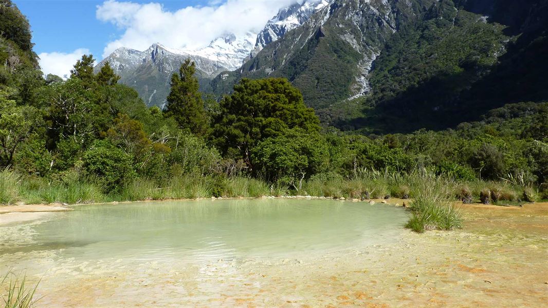 A pea green pool of water with bush and mountains beyond. 