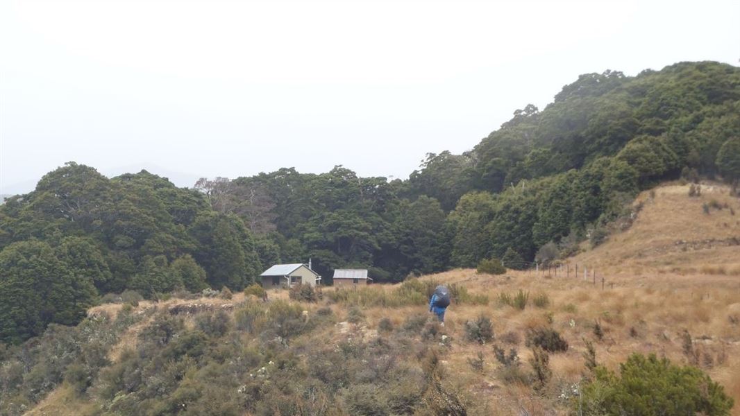 Tramper making their way to a hut in the bush.
