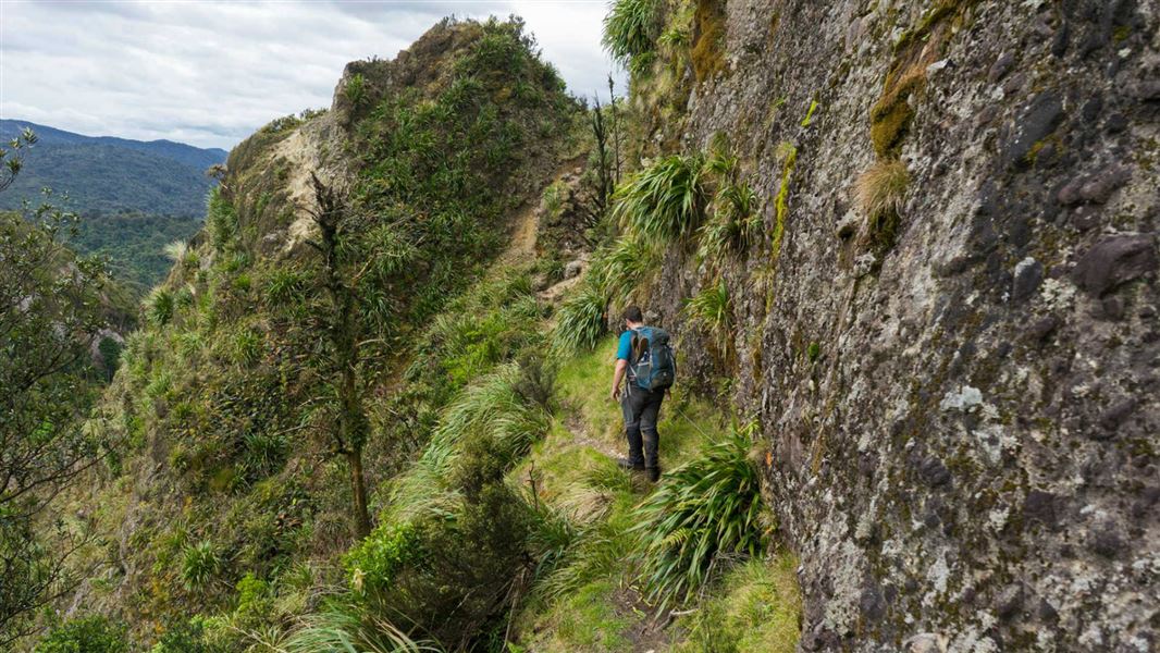 Te Rereatukahia Hut Track Kaimai Mamaku Conservation Park, Bay of
