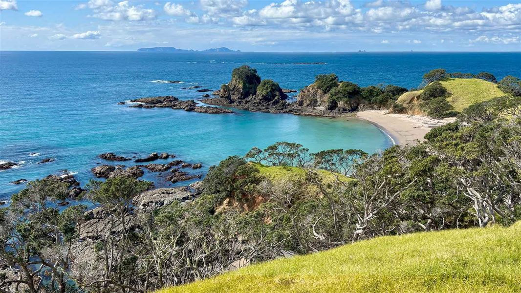 View from the Motutara Recreation Reserve Walk. 