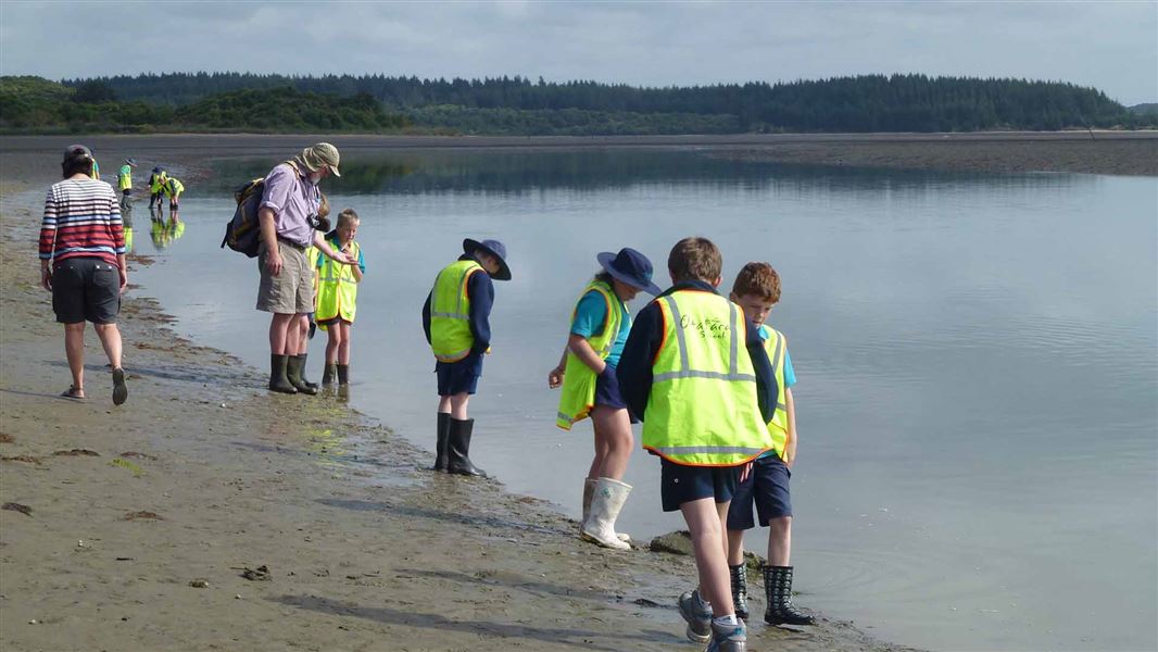 Many school children walking along and investigating the edges of a small lake