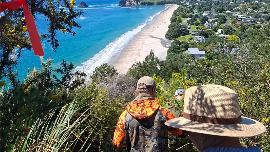 Way forward found in a reroute of Hahei Beach Short Walk: Media release ...