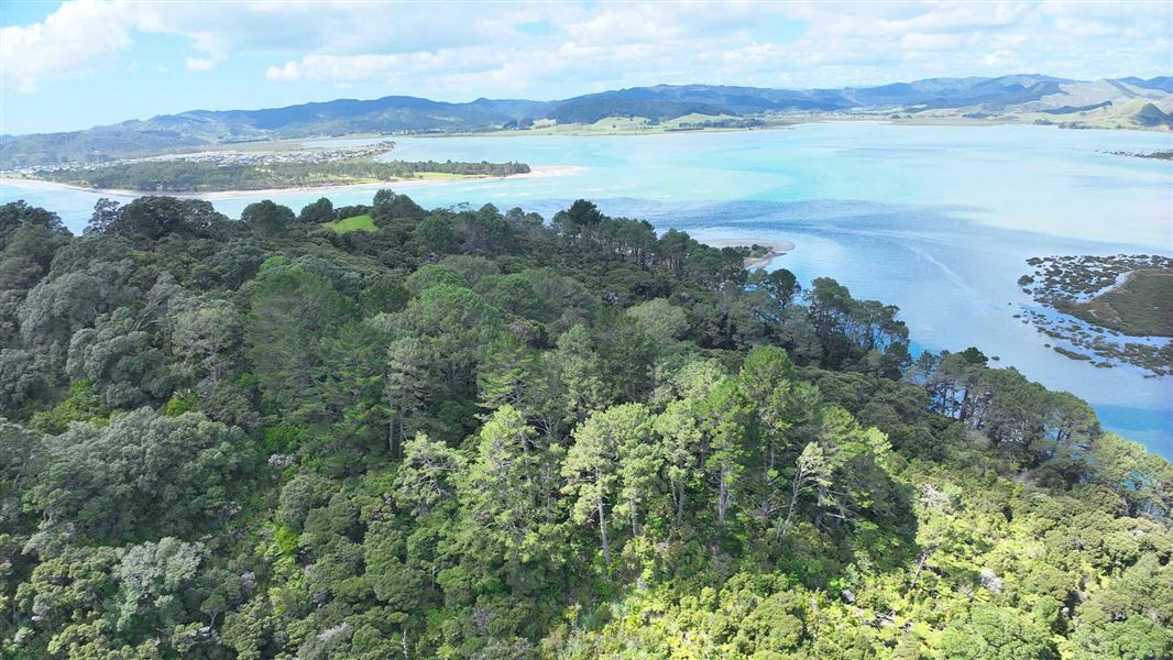 Coromandel’s Opera Point Reserve 