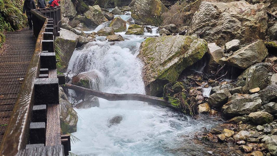View of small waterfall beside a fenced boardwalk track.