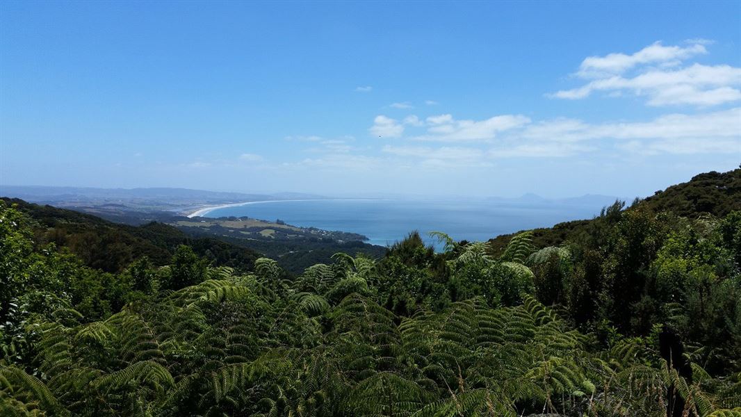 View from the Langsview Track. 