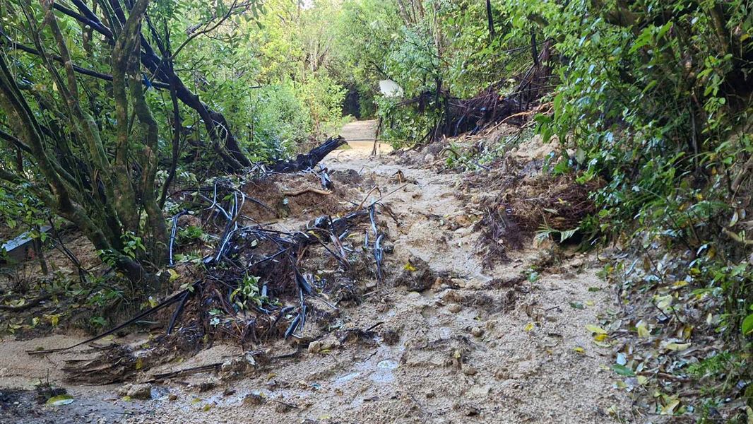 A slip on Abel Tasman Coastal Track near Porters Beach in July 2025, which has now been cleared. 
