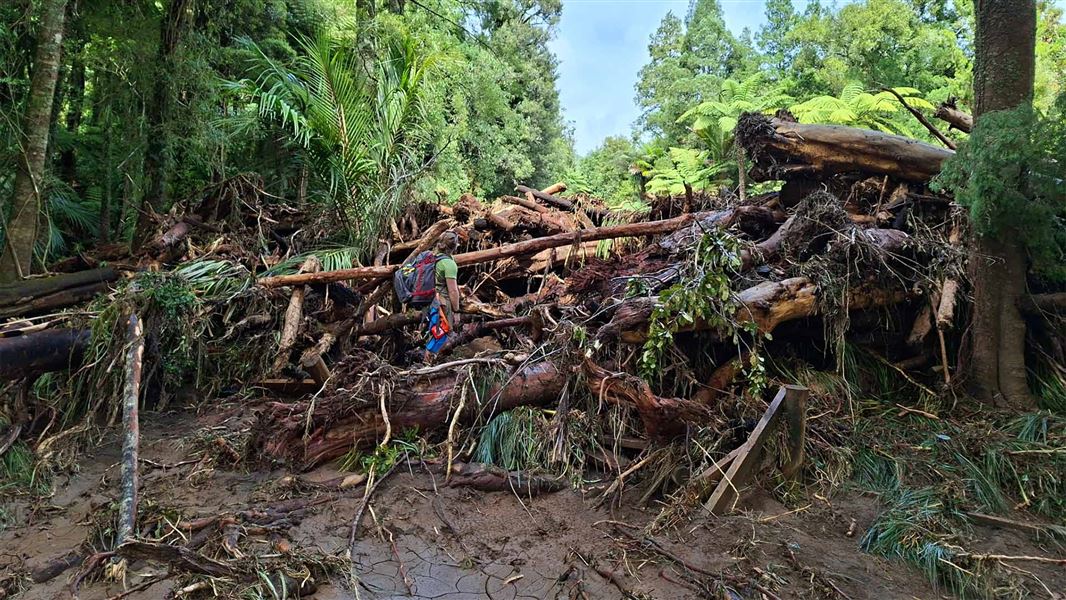 Pirongia damage - fallen trees and branches blocking the track. . 