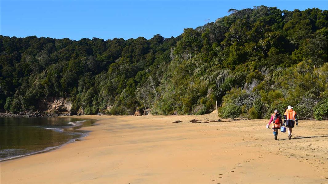 Rangers on Ulva Island, Stewart Island/Rakiura.   
