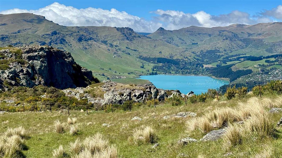 View from Mount Pleasant Track. 