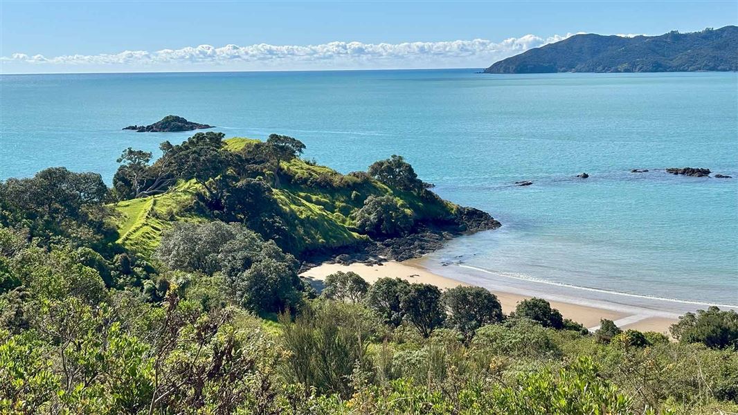 View from the Taumarumaru Scenic Reserve Walk. 
