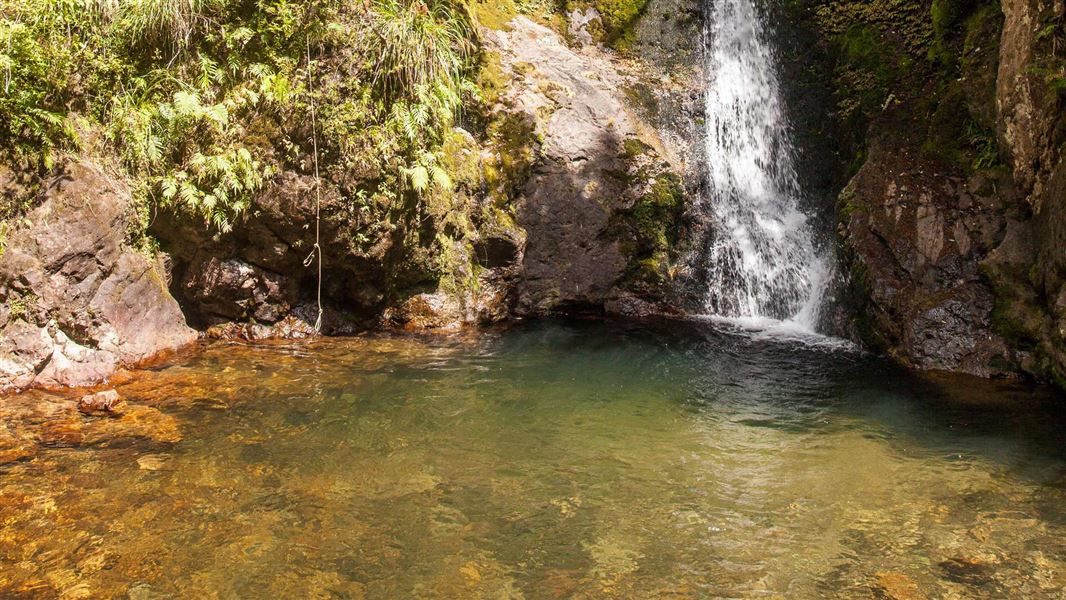 Walk to Wentworth Falls from the campsite. 