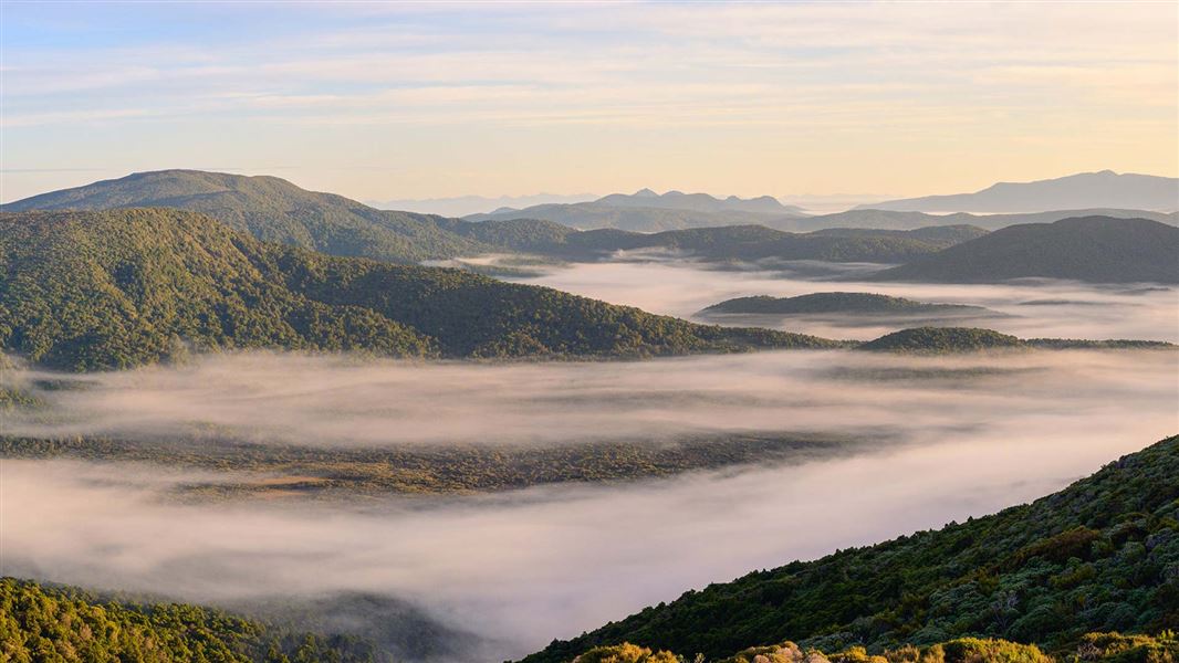 Rakeahua River valley, Rakiura/Stewart Island. 