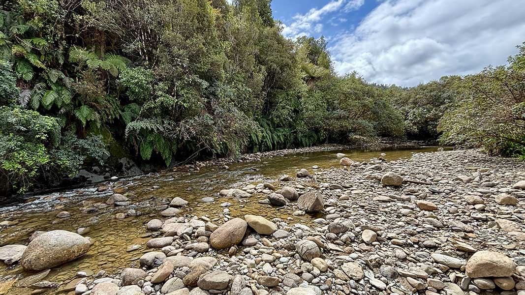 Shamrock Creek along the Goldsborough (Shamrock) Track. 