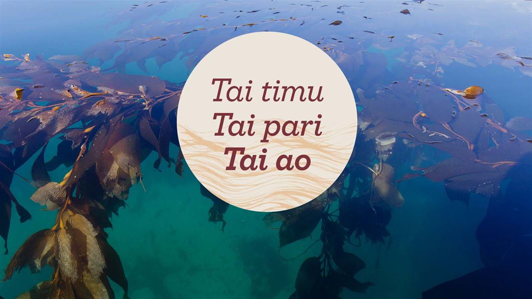 Treaty Partner Summit logo.