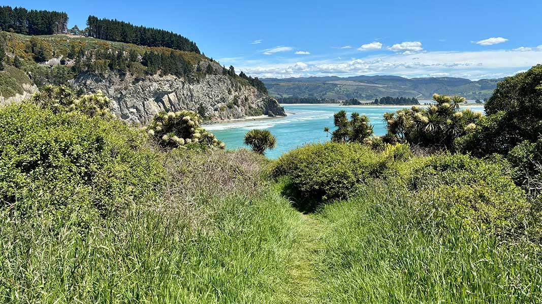 View of Canoe Beach from Mapoutahi Track. 