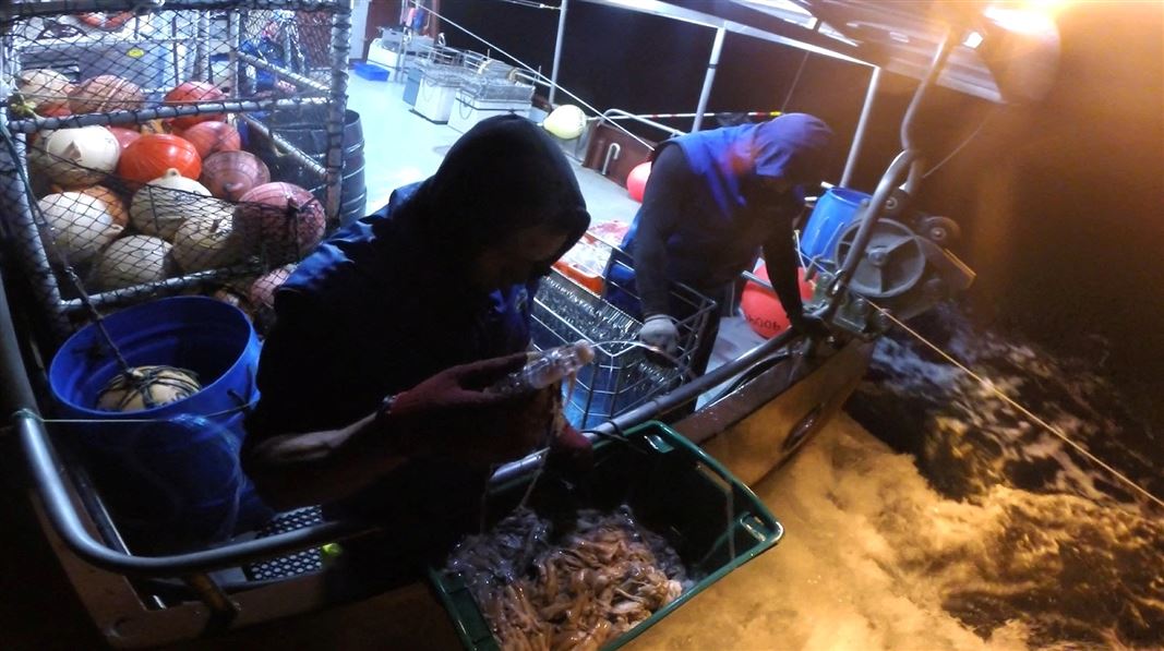 The crew of a fishing vessel work at night time.