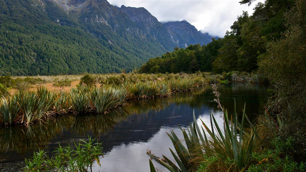 At Mirror Lakes, Fiordland