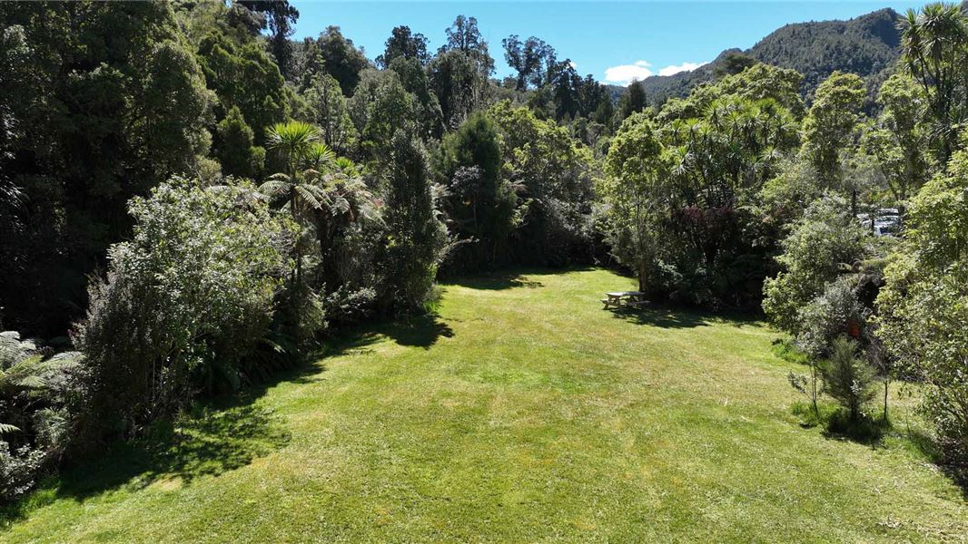 Small grassy campsite with trees surrounding it. 