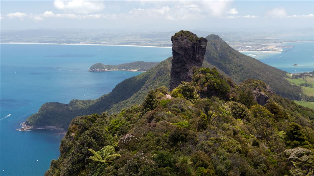 Bream Head Scenic Reserve Whangarei area places to visit