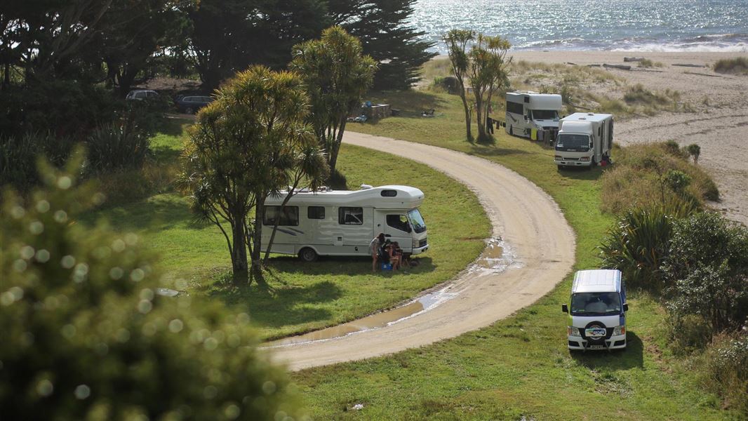 Kohaihai Campsite host Volunteer on the West Coast