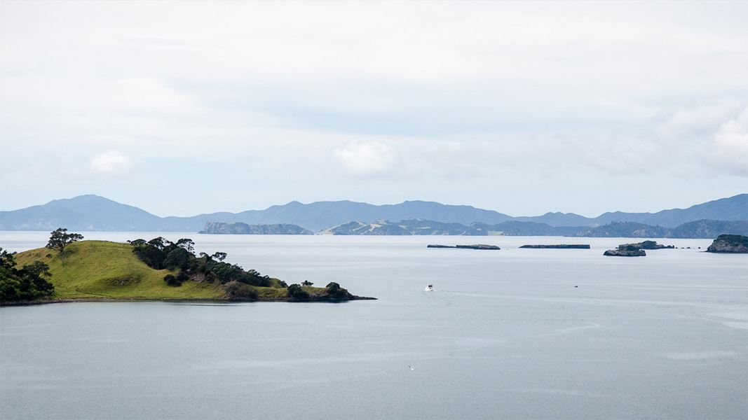 Akeake Historic Reserve Track Akeake Historic Reserve, Northland region