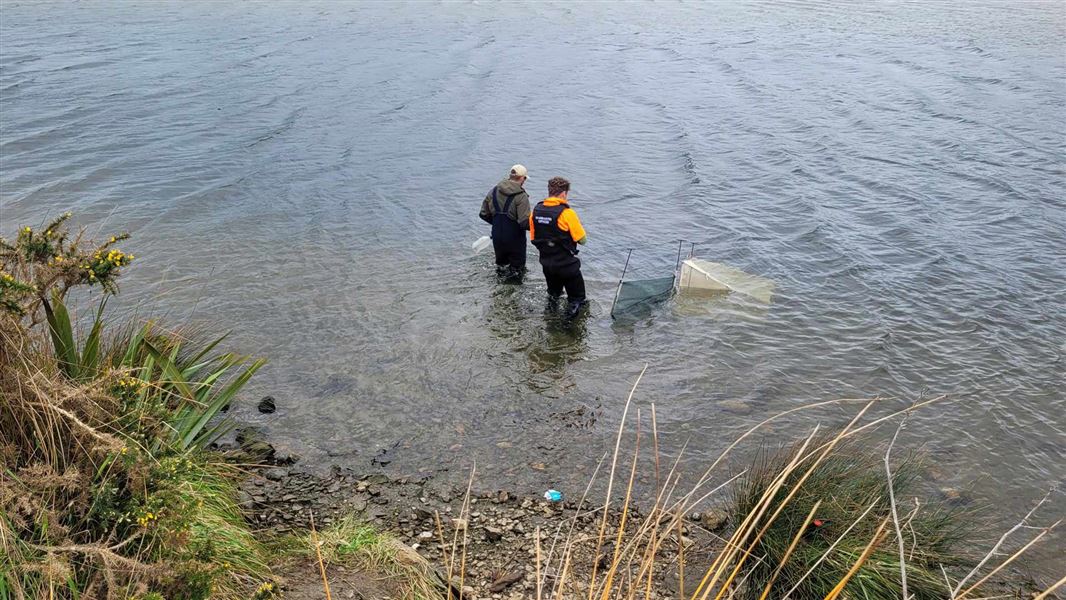 Two men standing in water with nets set in front of them. 