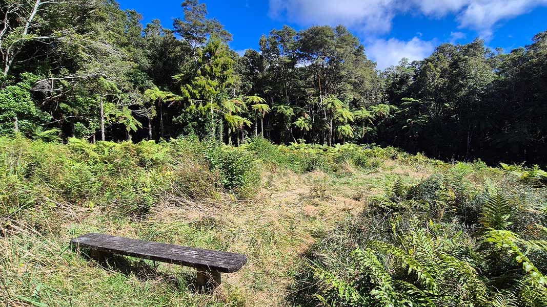 Central Clearing Campsite.  