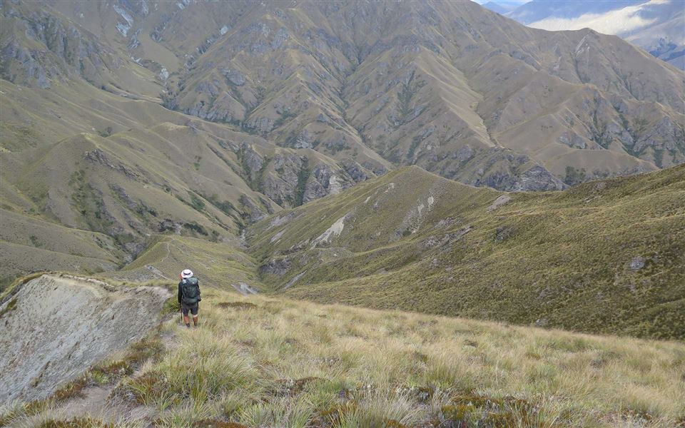 Tramper stands on a tussock ridge overlooking steep valleys and rugged mountain ridges. 