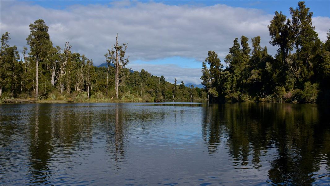  View along the Arnold River.