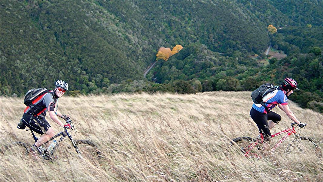 Mountain bikers on Government Track. 