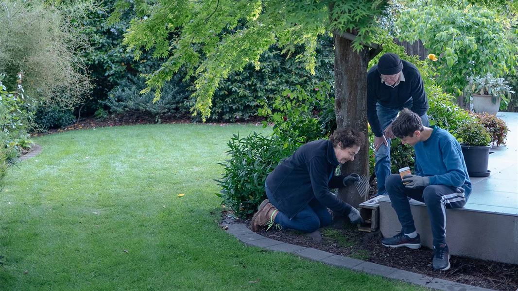 Backyard predator free trapping and volunteers