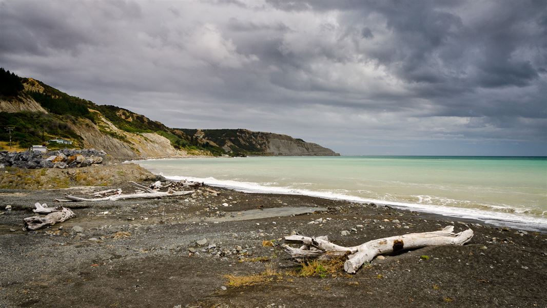 Palliser Bay.