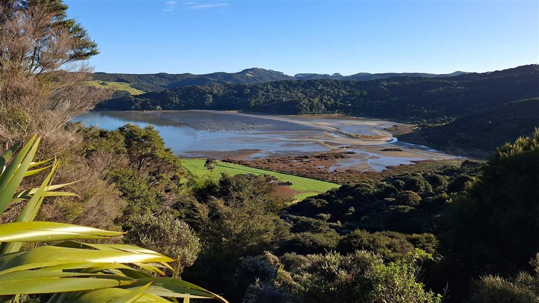 A view over a bay where the tide is partially out and the water is flat, reflecting the blue sky. Surrounded by tree covered hills.