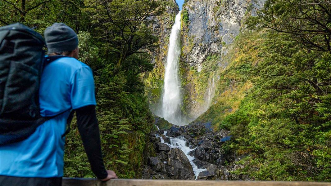 Tall waterfall cascading down a rocky cliff into a stream, surrounded by dense native forest.
