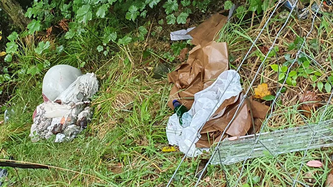 Dumping and vandalism tarnish Te Kuiti reserve Media release 26 May 2021