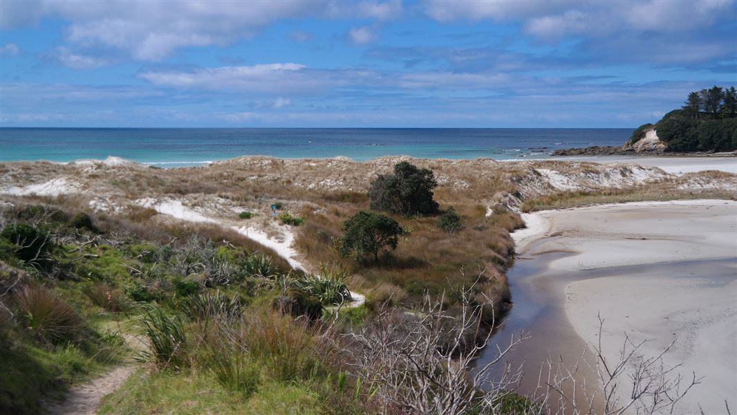 Sand dunes at beach.