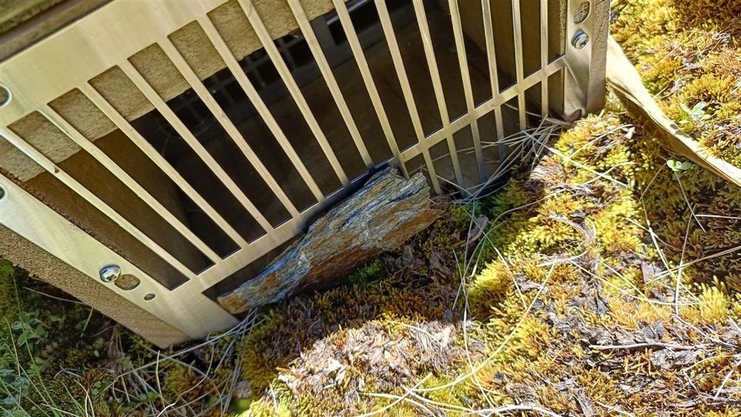 Trap that has been tampered with and is blocked.